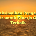 Memaksimalkan Pengaturan Grafis untuk Kinerja Game Terbaik