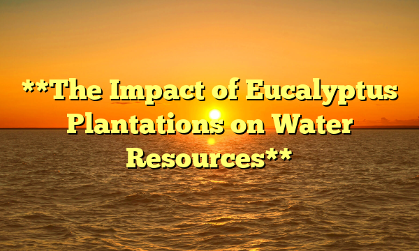 **The Impact of Eucalyptus Plantations on Water Resources**